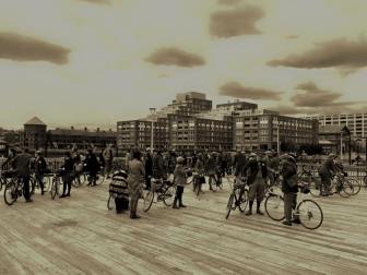 11041589_10153778144877542_4927268743264283864_n